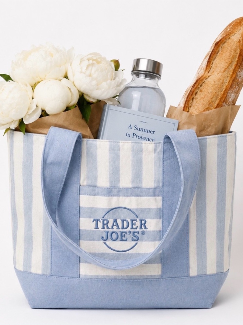 Trader Joe's NWT Blue Striped Mini Canvas Tote